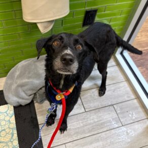 Cc6ffe4f3ad488d6dd7e2bc777c9ee1e