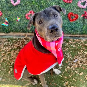 Cd0ee57c09ffc316c687121a34afe77e