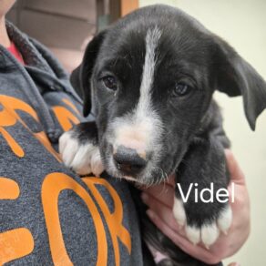 Ce1528b0c57a813c2df76235e6740eb6