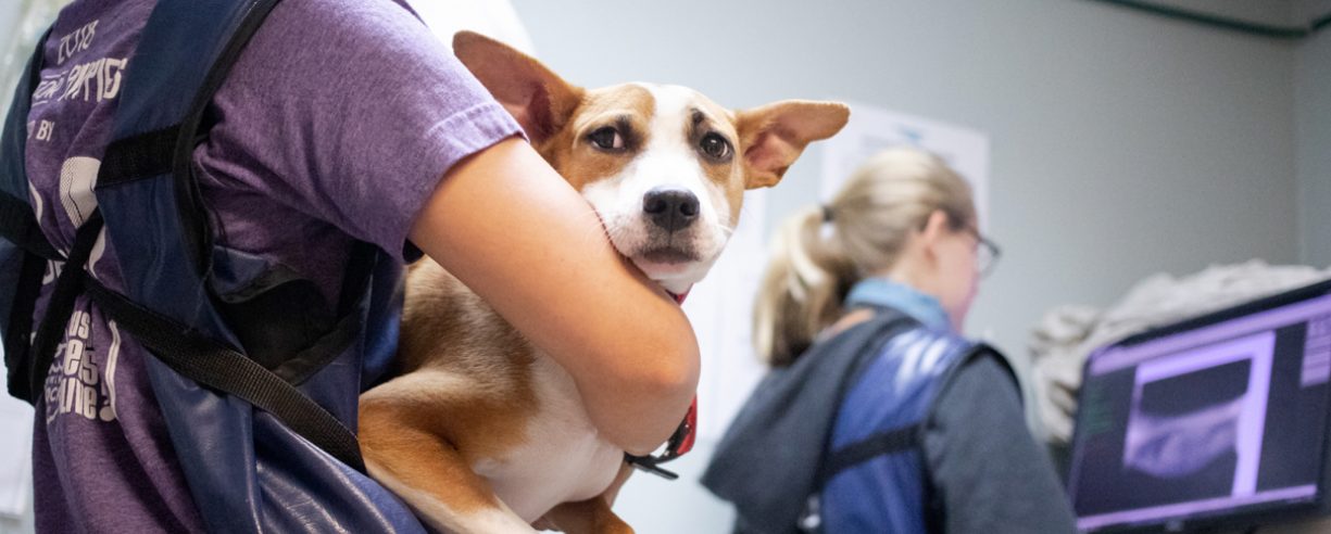 Clinic Resources Banner