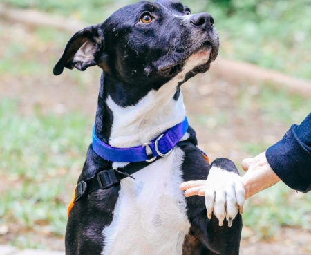 Copy of 2021 04 21 19 00 55 doublea0818 yahoo com Tux 82478 Tux 3 82478