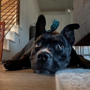 D0bf898e78c2b25aa91532b2cdd53703