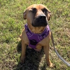 D2b4309917eb9c9eb9abb3dd8889b595