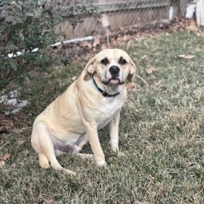 D2f0cfdb7678a2abdd72bca39f5fe41f