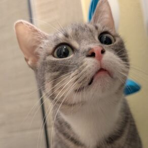 D32ea2a076cd136f535c3817fa6a5857