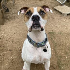 D4a6788219207b79860548ac4171b2c5