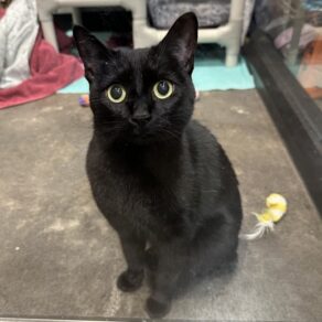 D6b042571cdcc9b41ea5b1e0ef33843c