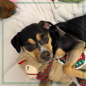 D7a07c9169a8e8d48e74a59f8868be30