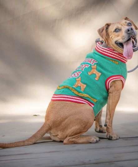 D7b2dfdee133f51733e3bf05bcd779e5