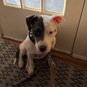 D7b806571a5bb12af95c1f8212d17ccf