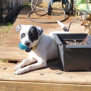 D89d6c2ee9c60a6c4bdcbaff5b85fa9d