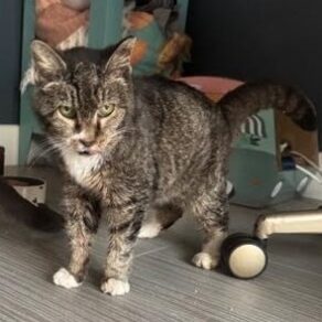 D936c49ff79792e9a73c8782ade376ee