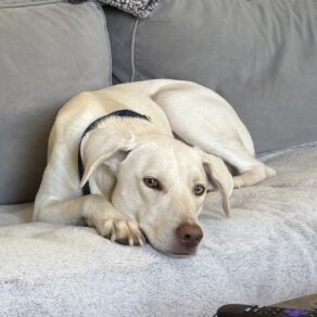 D9e40a3bc5b3a3c0da3a329230cbafd3