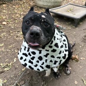 Db0bda5a4d6f7afc9c3718a4fc4bbf5d