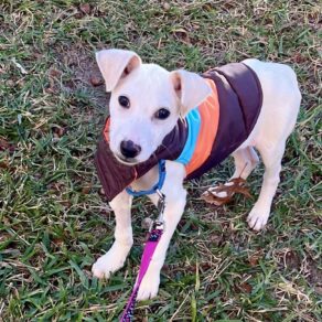 Db3e1b35bbfda47b18931fa44ef0106a