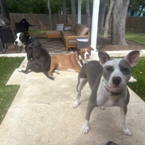 Dcfc9ae9eb80f61070d434e3d7f73e58