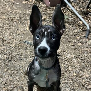 Dd2ad94954197b1f17c12847df3ef80d