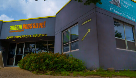 DDC0478 C 3 F14 4 DBF AEFF A4061 CDD8327