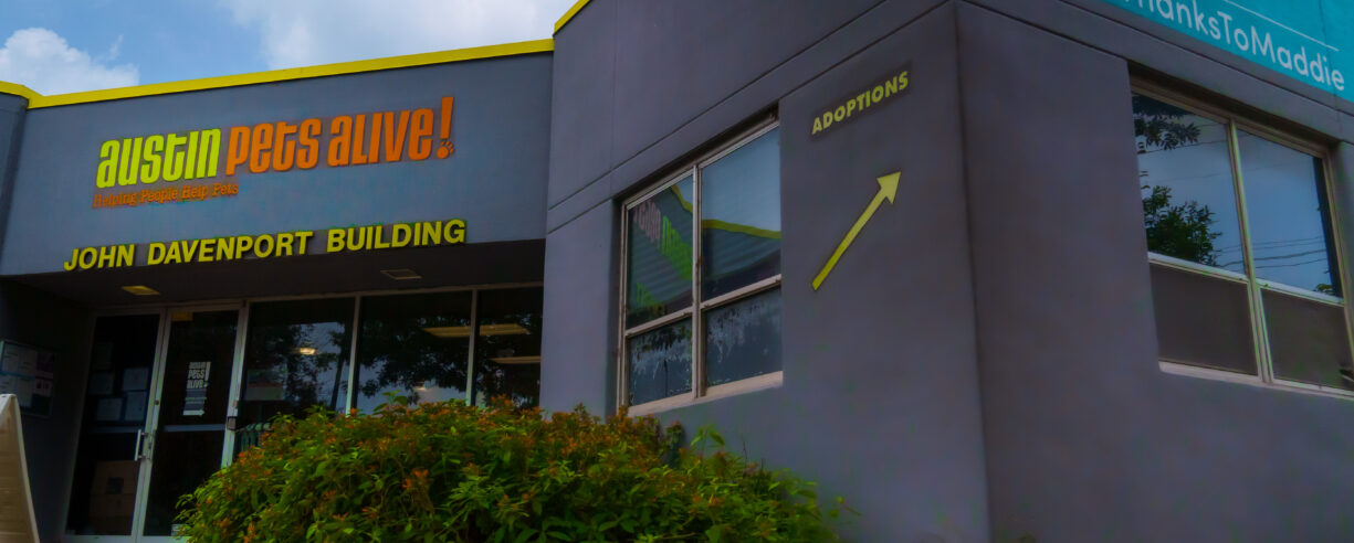 DDC0478 C 3 F14 4 DBF AEFF A4061 CDD8327