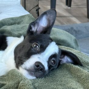 De19a443445f6b1432ace5941d08058b