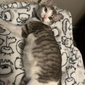 Df3331fafd5d83e85b892b561a732261