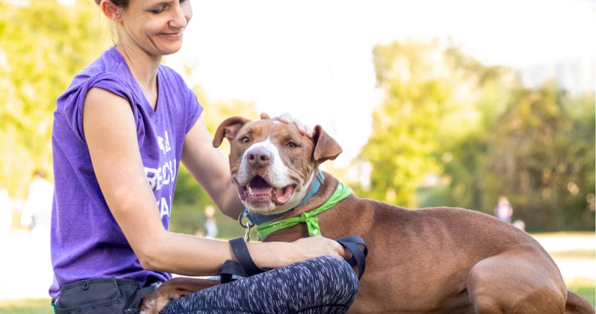 Dogsthatneedyoumost Banner