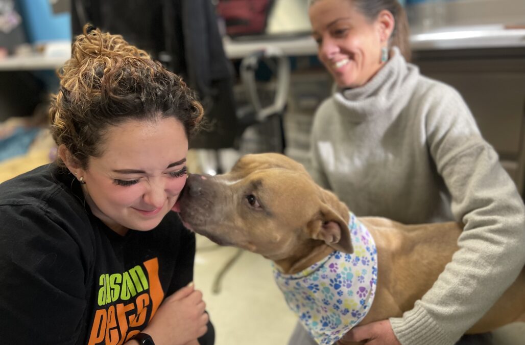 Dr Jefferson with Batty