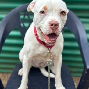 E1290afa7feaf2b39fd93fb7c8707a09