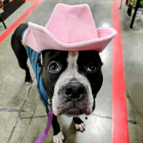 E12f7ca6da8854a603edf64a8c03d320