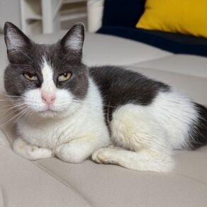 E20d5d5fcd7cdd1242e53de4173c6a22