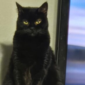 E2bac5b020d1e149001864a8f7b95c1a