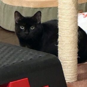 E345fdb10b1c6c578a3318c0929e382f