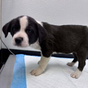 E42365d879773cbca46b6f821af8ae86