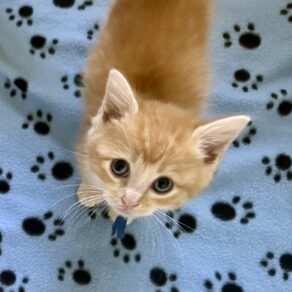 E4f4c8299c13236837332b60e85976e4