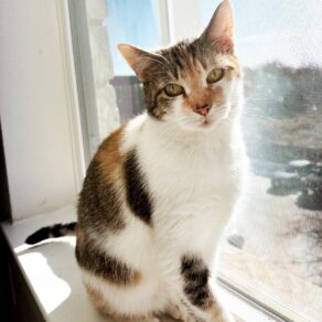 E5686dc6b553ff3811d3bd751143b785