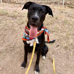 E5965058d99b3fb07da2cb99e2294bcd