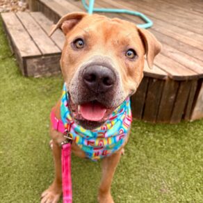 E6f1ca6f22d12215a880878f6573770b