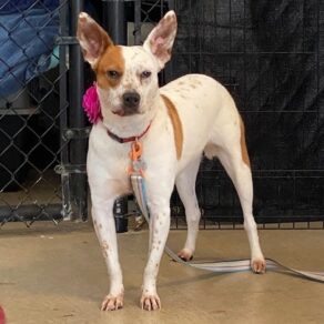 E72a7f6d3bbd9d8d9970786c77dc28cc