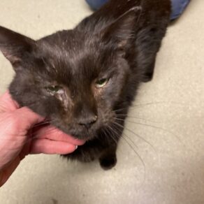 E99f11c79b781ef2edbad7fa273a844f