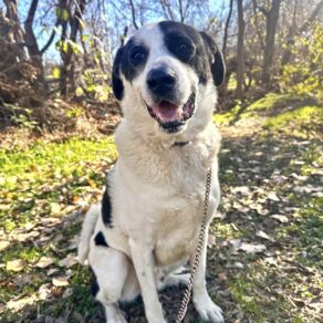 Ec11430d5a3cf30827f1314ad1e717f1