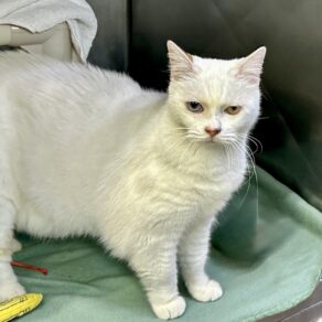 Ec5632a83fece8baec85047abf446f2e