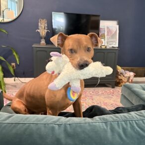 Eeaf1353660e99bf65adadc97f8ce437