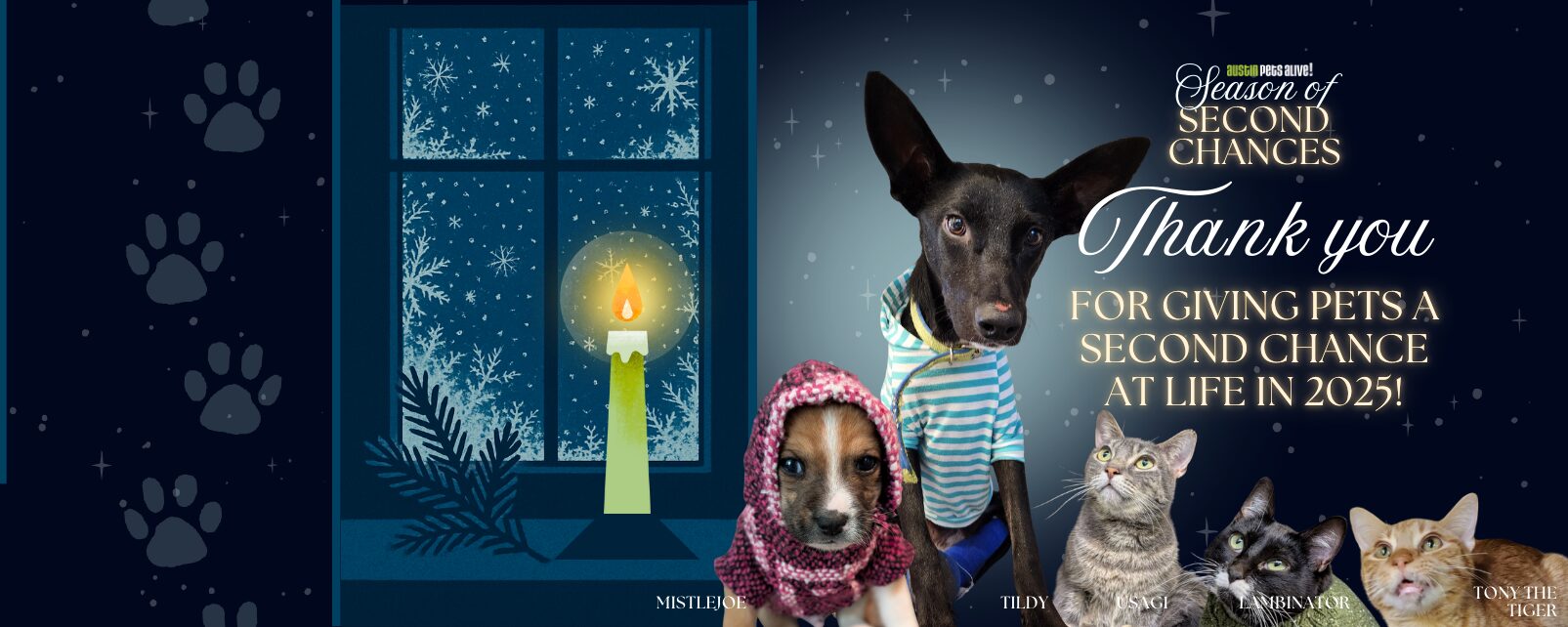 EOY 2025 web banner 8