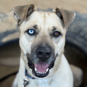 F122114227ee27fceda923043e61fc7a