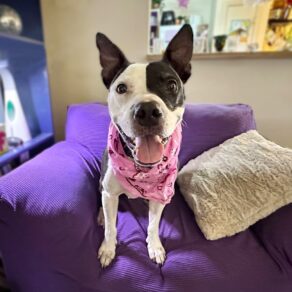 F15e192f741c30748b299d440df32417