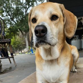 F5efb0445bec760a6e1fb98680e6094d