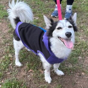 F99a011adc719bb270e2e2db10eb31a3