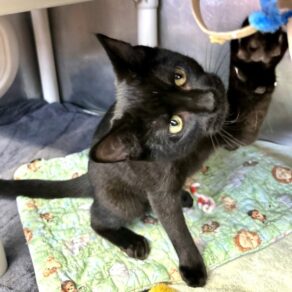 F9d79e3db47c16e82ae5b559d515e266