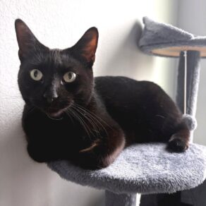 F9e621945d54cd99adaded8f25eb0f9c