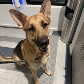 Fa6f4f4a35047e45ba3e469486dc1ae3